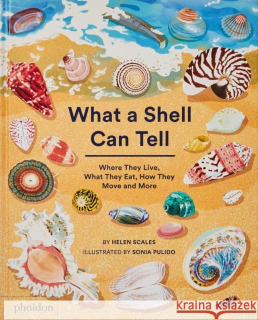 What A Shell Can Tell Helen Scales 9781838664305 Phaidon Press Ltd - książka