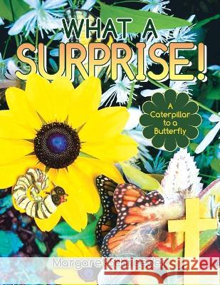 What a Surprise!: A Caterpillar to a Butterfly Margaret Schroeder   9781489747174 Liferich - książka