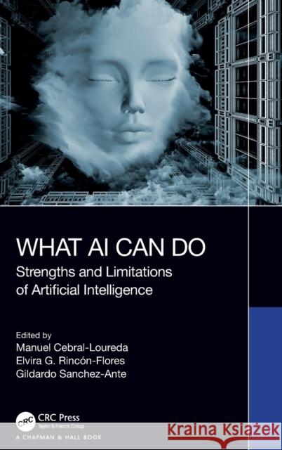 What AI Can Do Manuel Cebral-Loureda Elvira G. Rinc?n-Flores Gildardo Sanchez-Ante 9781032396002 CRC Press - książka