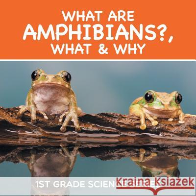 What Are Amphibians?, What & Why: 1st Grade Science Series Baby Professor 9781682800669 Baby Professor - książka