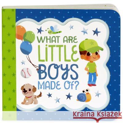 What Are Little Boys Made of Minnie Birdsong 9781680522105 Cottage Door Press - książka