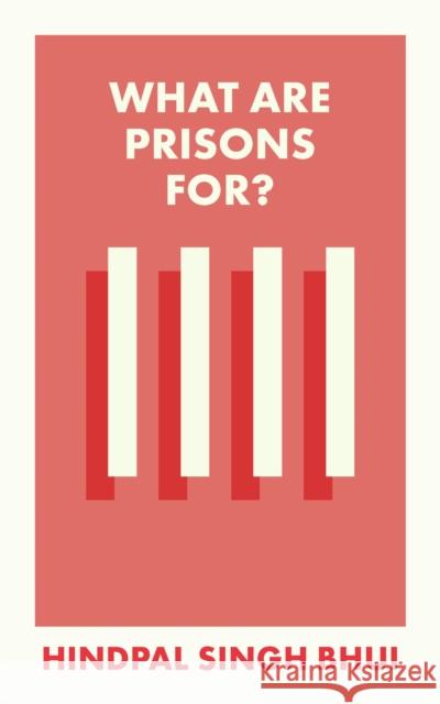 What Are Prisons For? Hindpal Sing 9781529226898 Bristol University Press - książka