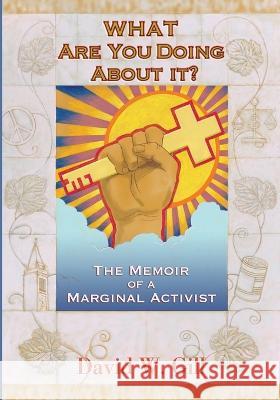 What Are You Doing About It? David W Gill 9781666750454 Resource Publications (CA) - książka