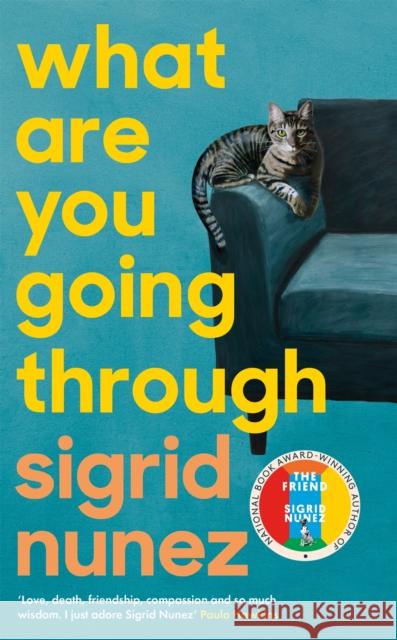 What Are You Going Through Nunez, Sigrid 9780349013671 Virago - książka