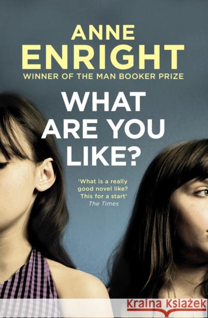 What Are You Like Anne Enright 9780099284345 Vintage Publishing - książka