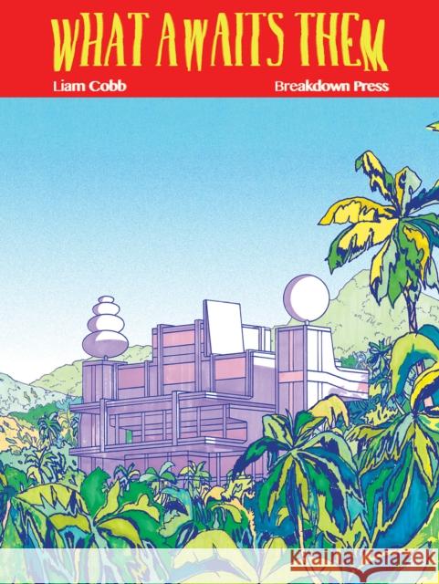 What Awaits Them Liam Cobb 9781911081227 Breakdown Press Ltd - książka