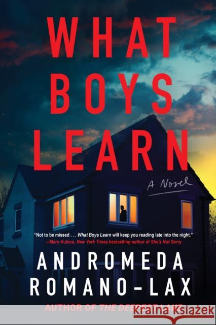 What Boys Learn Andromeda Romano-Lax 9781641296915 Soho Crime - książka