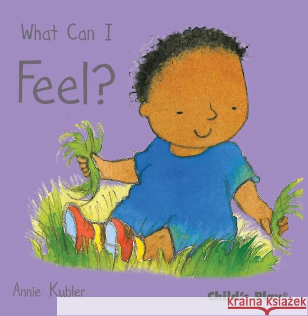 What Can I Feel? Annie Kubler 9781846433740  - książka