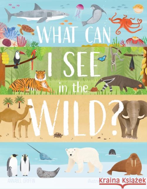 What Can I See in the Wild: Sharing Our Planet, Nature and Habitats Emily Kington 9781913440527 Hungry Tomato Ltd - książka