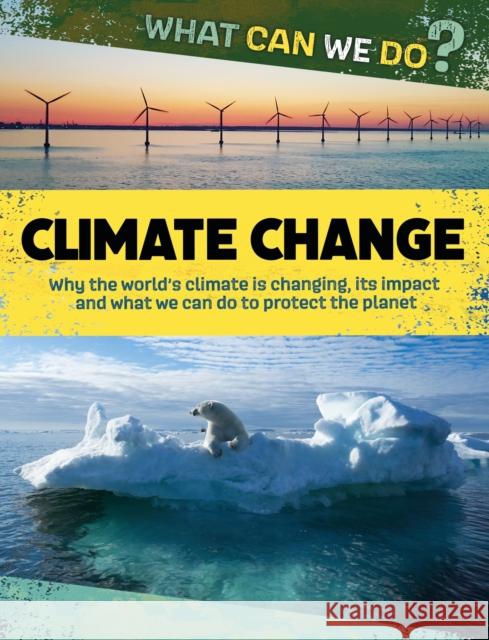 What Can We Do?: Climate Change Katie Dicker 9781445188041 Hachette Children's Group - książka