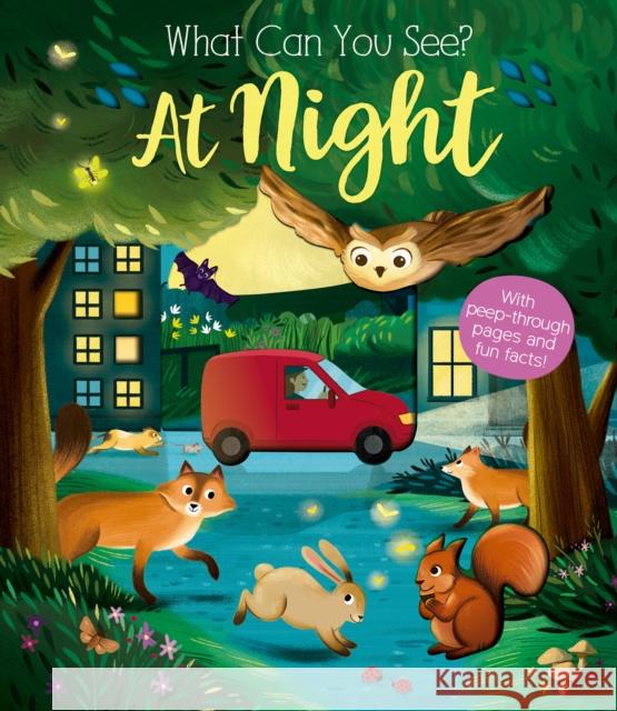 What Can You See At Night? Kate Ware 9781912756414 Little Tiger Press Group - książka