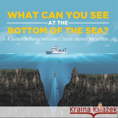 What Can You See at the Bottom of the Sea? a Journey into the Mariana Baby Professor 9781541954069 Baby Professor - książka