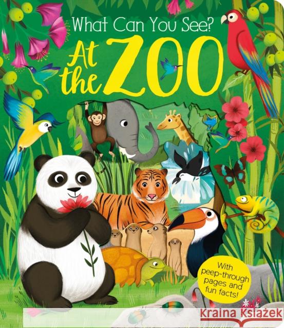 What Can You See at the Zoo? Kate Ware 9781912756674 Liontree Publishing - książka