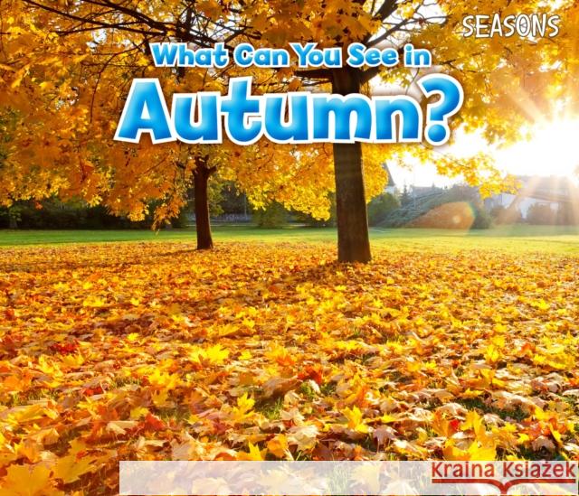 What Can You See In Autumn? Sian Smith 9781406283266 Raintree - książka