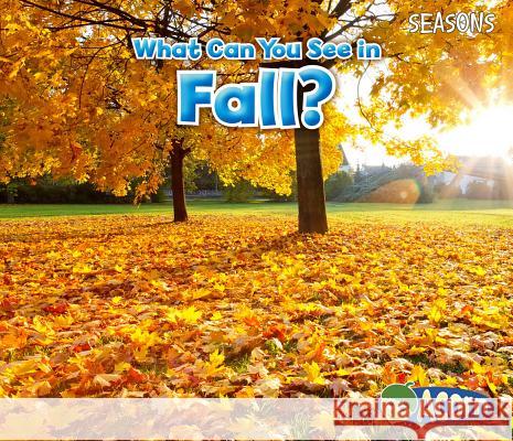What Can You See in Fall? Sian Smith 9781484603536 Acorn - książka