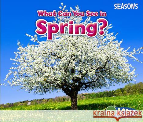 What Can You See in Spring? Sian Smith 9781484603543 Acorn - książka