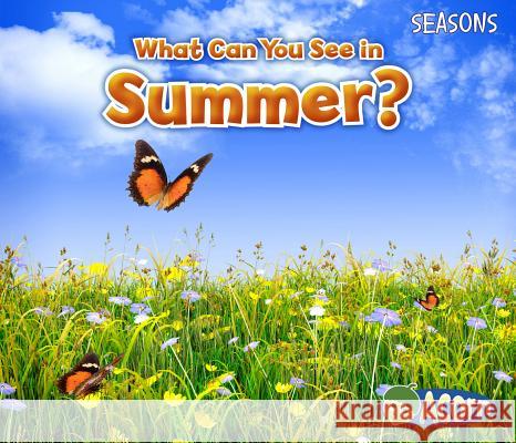 What Can You See in Summer? Sian Smith 9781484603550 Acorn - książka