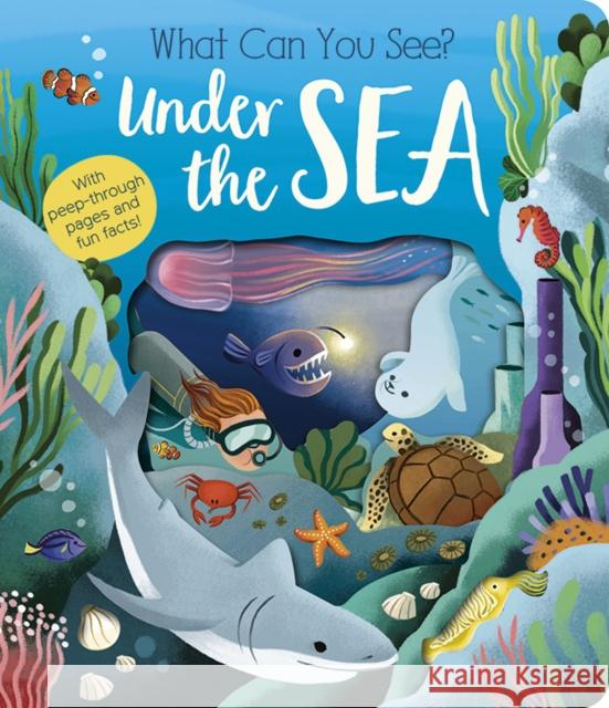 What Can You See? Under the Sea Molly Littleboy 9781801045551 Little Tiger Press Group - książka