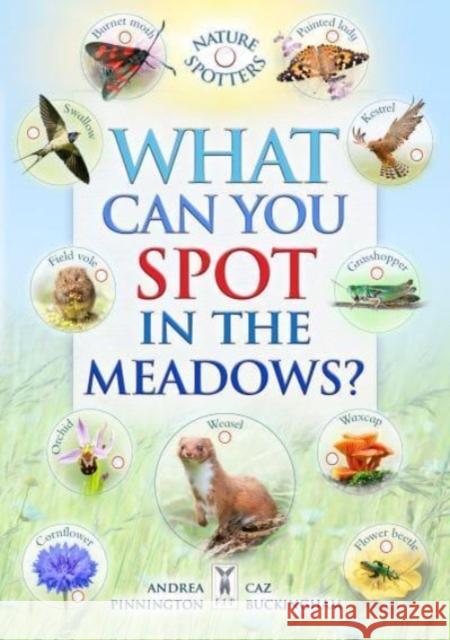 What Can You Spot in the Meadows? Andrea Pinnington 9781908489739 Fine Feather Press Ltd - książka