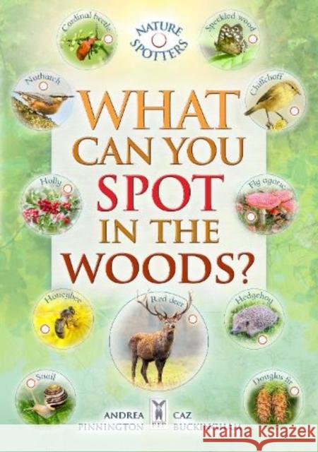 What Can You Spot in the Woods? Ben Hoare 9781908489692 Fine Feather Press Ltd - książka