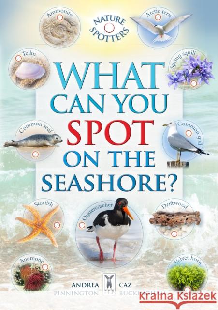 What Can You Spot on the Seashore? Andrea Pinnington 9781908489708 Fine Feather Press Ltd - książka