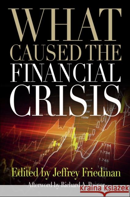 What Caused the Financial Crisis Jeffrey Friedman Richard A. Posner 9780812221183 University of Pennsylvania Press - książka