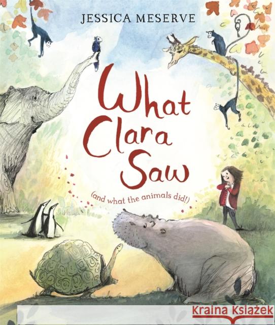 What Clara Saw Jessica Meserve   9781509866601 Macmillan Children's Books - książka