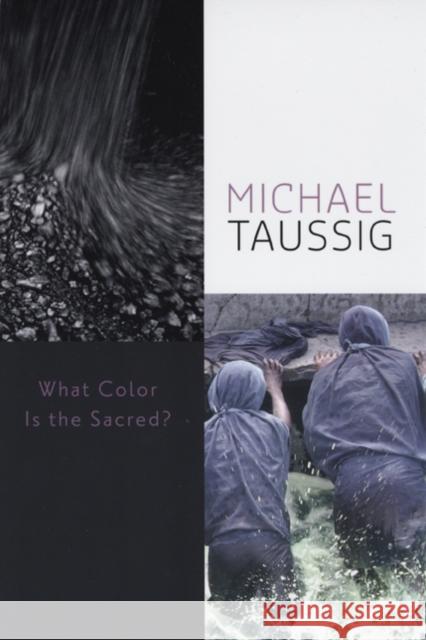 What Color Is the Sacred? Michael T. Taussig 9780226790053 University of Chicago Press - książka