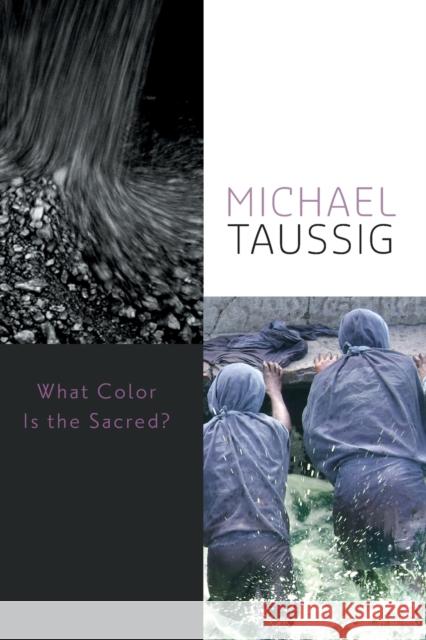 What Color Is the Sacred? Michael T. Taussig 9780226790060 University of Chicago Press - książka