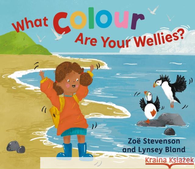 What Colour Are Your Wellies? Zoe Stevenson 9781780278742 Birlinn General - książka