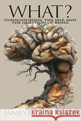 What?: Consciousness, the Self, and the Question of Being James Cullinane 9781919400105 Liminal Way Scriptorium - książka