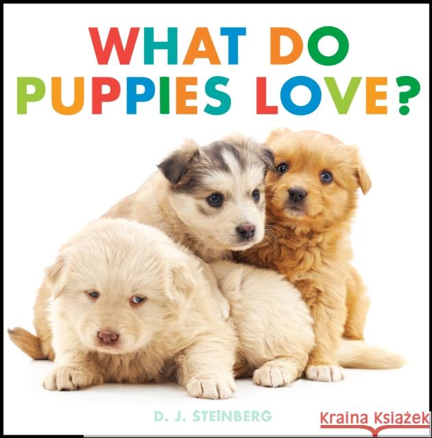 What Do Puppies Love? D.J. Steinberg 9780593754474 Grosset & Dunlap - książka