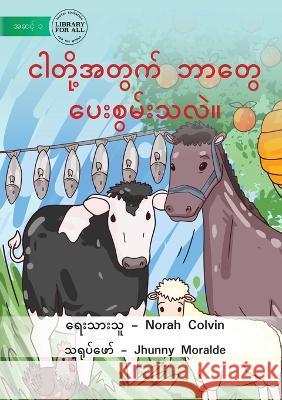 What Do They Give Us - ငါတို့အတွက် ဘာတွေ ပေ Colvin, Norah 9781922789969 Library for All - książka