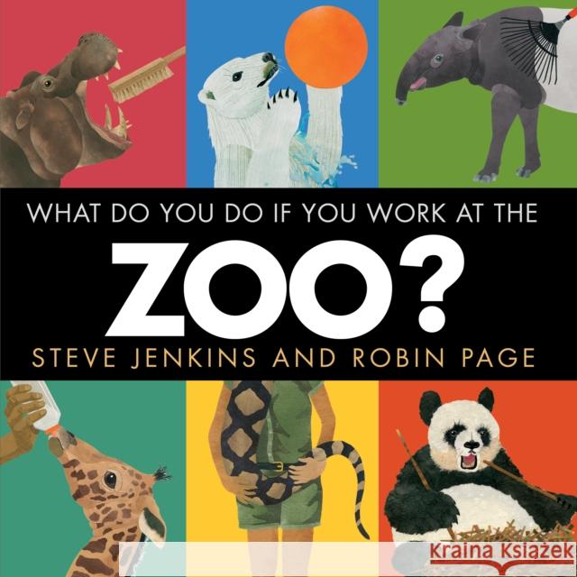 What Do You Do If You Work at the Zoo? Steve Jenkins Robin Page 9780544387591 Houghton Mifflin - książka