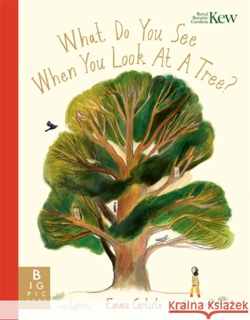 What Do You See When You Look At a Tree? Emma Carlisle 9781800784383 Templar Publishing - książka