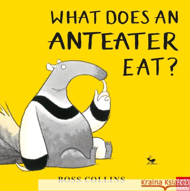 What Does An Anteater Eat? Ross Collins   9781788005357 Nosy Crow Ltd - książka