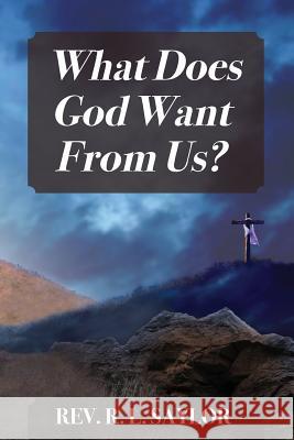 What Does God Want From Us? Saylor, R. L. 9781478788546 Outskirts Press - książka