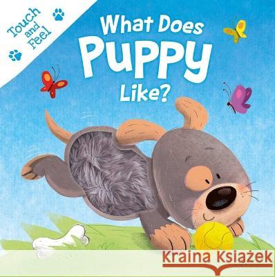 What Does Puppy Like?: Touch & Feel Board Book Igloobooks                               Gabriel Cortina 9781837716517 Igloo Books - książka