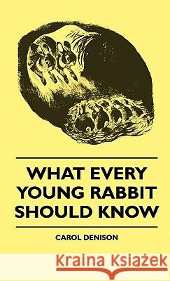 What Every Young Rabbit Should Know Carol Denison 9781445514505 Hadley Press - książka