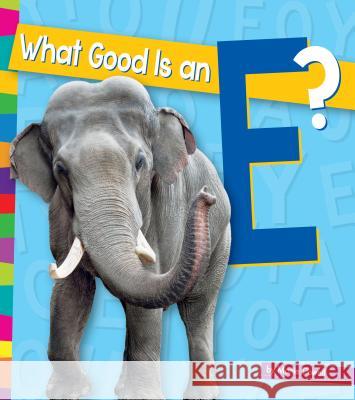 What Good Is an E? Marie Powell 9781607537090 Amicus - książka