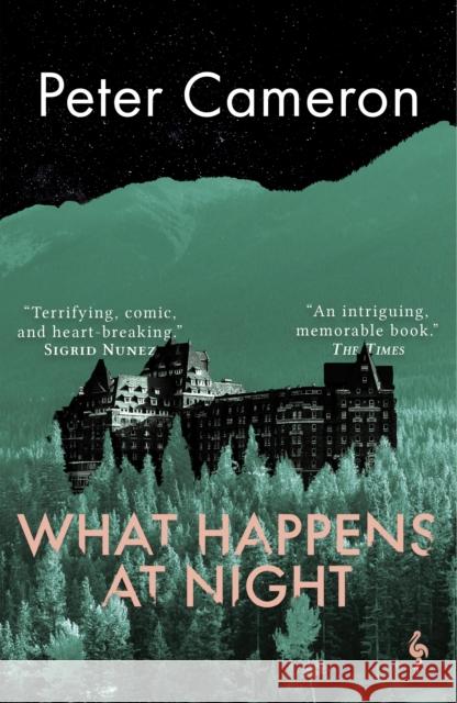 What Happens at Night Peter Cameron 9781787704244 Europa Editions (UK) Ltd - książka