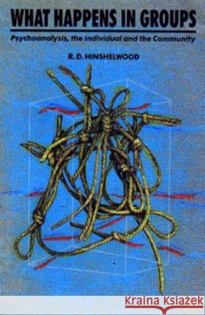 What Happens in Groups : Psychoanalysis, the Individual and the Community R. D. Hinshelwood 9780946960897 FREE ASSOCIATION BOOKS - książka