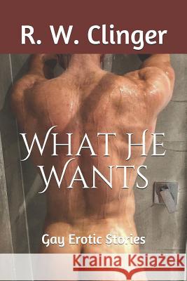 What He Wants: Gay Erotic Stories R. W. Clinger 9781520414508 Independently Published - książka