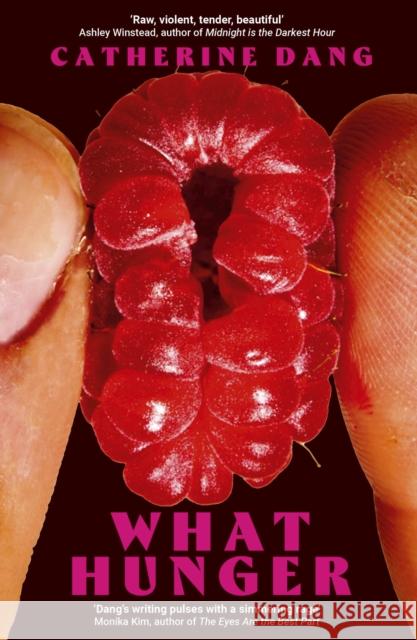 What Hunger Catherine Dang 9781472160379 Little, Brown Book Group - książka