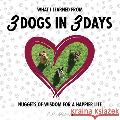 What I Learned from 3 Dogs in 3 Days: Nuggets of Wisdom for a Happier Life A P Morris 9780985489328 Synchronistic Books - książka