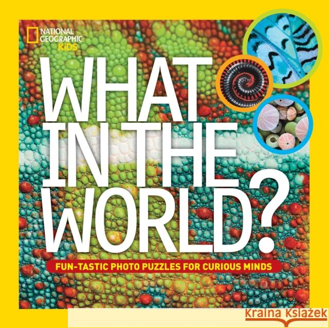 What in the World? National Geographic Kids 9781426315176 National Geographic Kids - książka