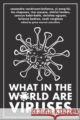 What in the World are Viruses Cassandra Vandrunen-Lachanse, Yi Yang Fei, Tim Chapman 9781773692524 Golden Meteorite Press - książka