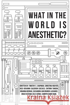 What in the World is Anesthetic Grace Nzovwa Zulu-Sitima Timothy C. Chapman Christina Nguyen 9781773692319 Golden Meteorite Press - książka