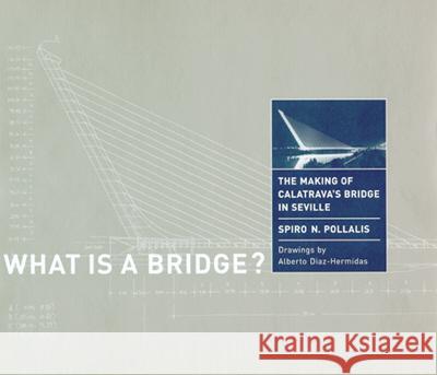 What Is a Bridge? The Making of Calatravas Bridge in Seville - stan bdb 9780262161749  A780262161749  - książka
