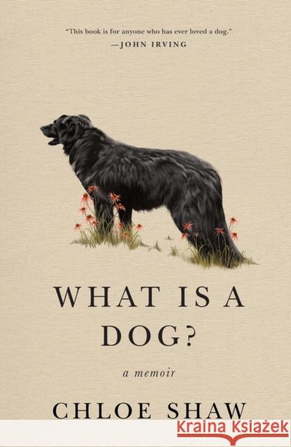 What Is a Dog?: A Memoir Chloe Shaw 9781250785404 Flatiron Books - książka